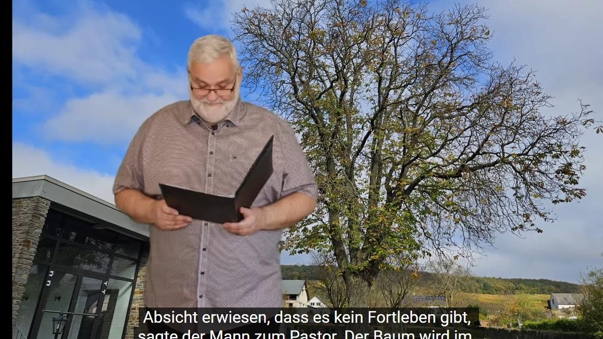 Der Kastanienbaum