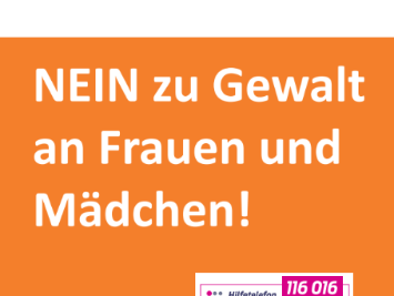 Screenshot 2025-11-19 183257