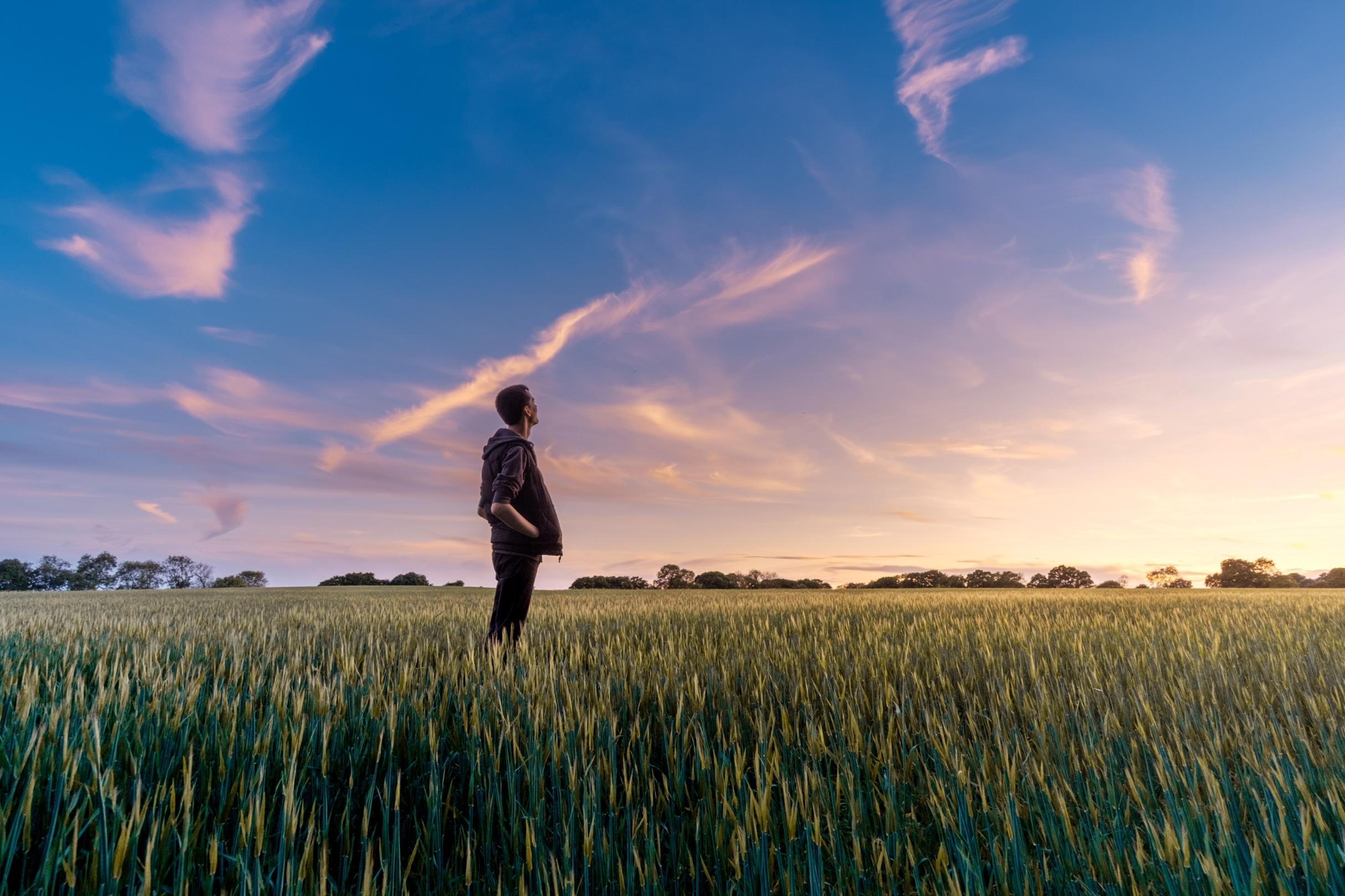 Ein Mann steht in einem Feld und schaut ins Weite. Der Himmel zeigt vereinzelt Wölkchen und ist zart violett gefärbt